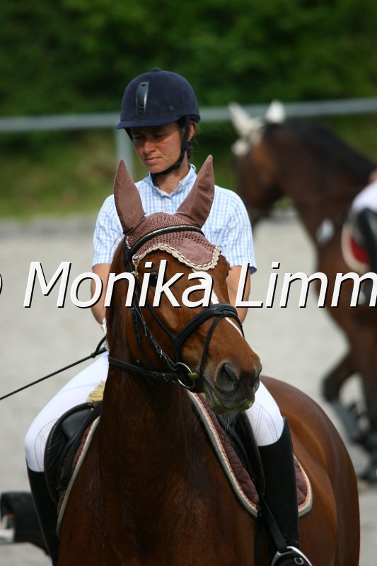 105M1204_Melody of Dream_Stil_A.JPG